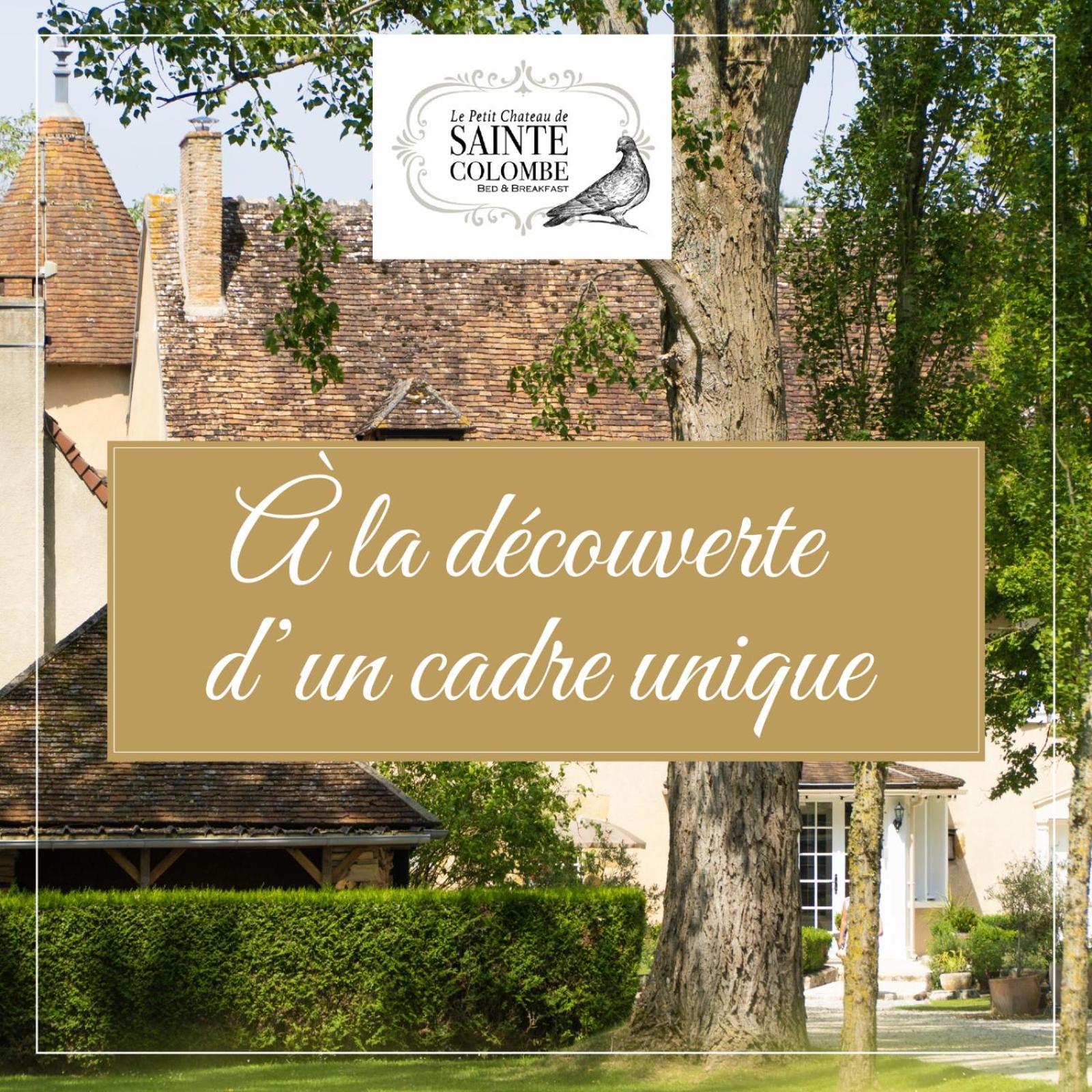 Le Petit Chateau De Sainte Colombe Bouges-le-Chateau 外观 照片
